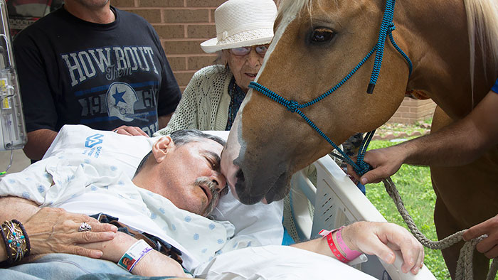 Dying Vietnam Vet Asks For A Final Meeting With Beloved Horses Outside Hospital