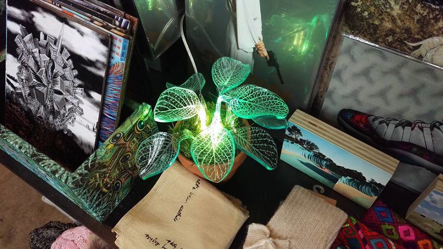 I Make Evergreen Plants That Glow In The Dark