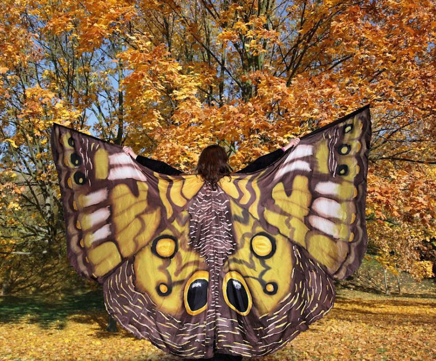 I Paint Silk Butterfly Wings