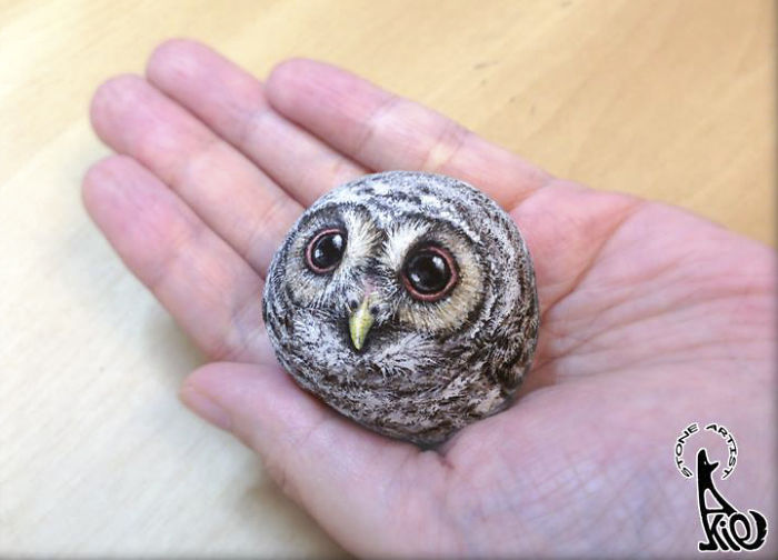 Owl Chick