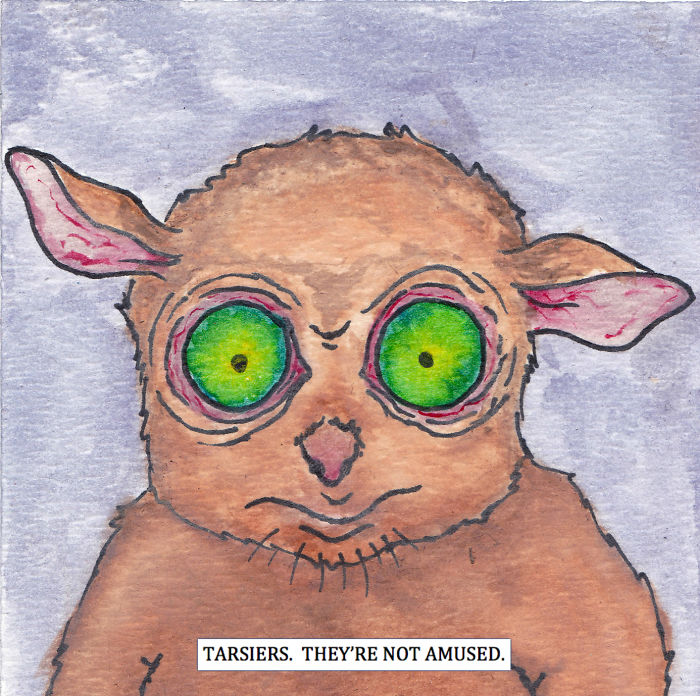 I Watercolor Angry Animals