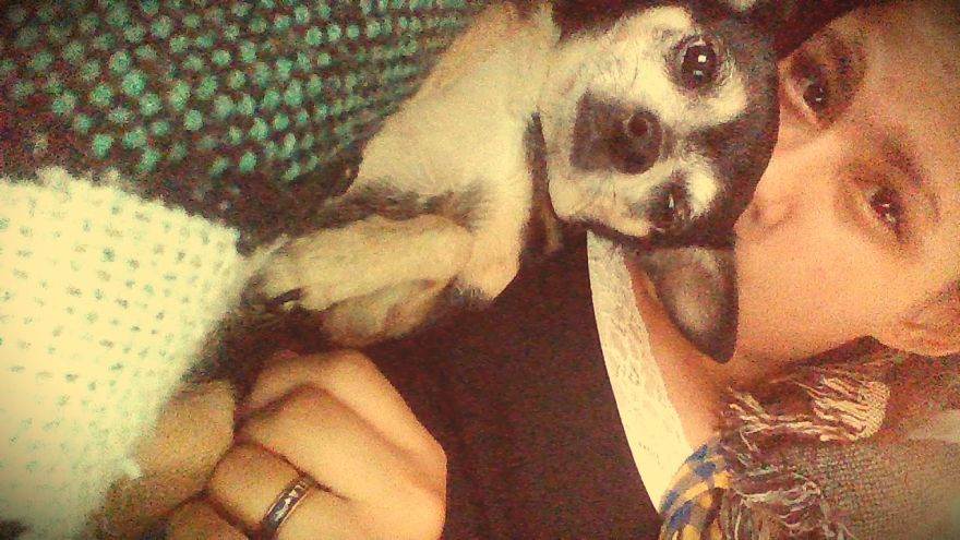 My Dog Is Officially 8 Years Old !!!