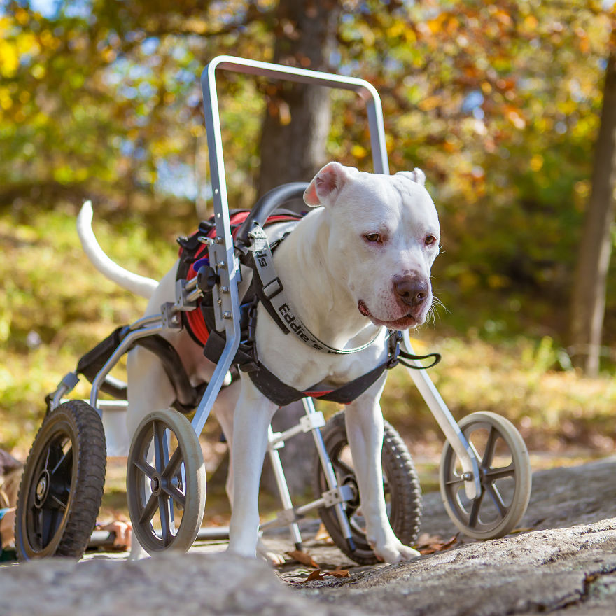 My Name Is Hotrodmel And These Are My Wheels.
