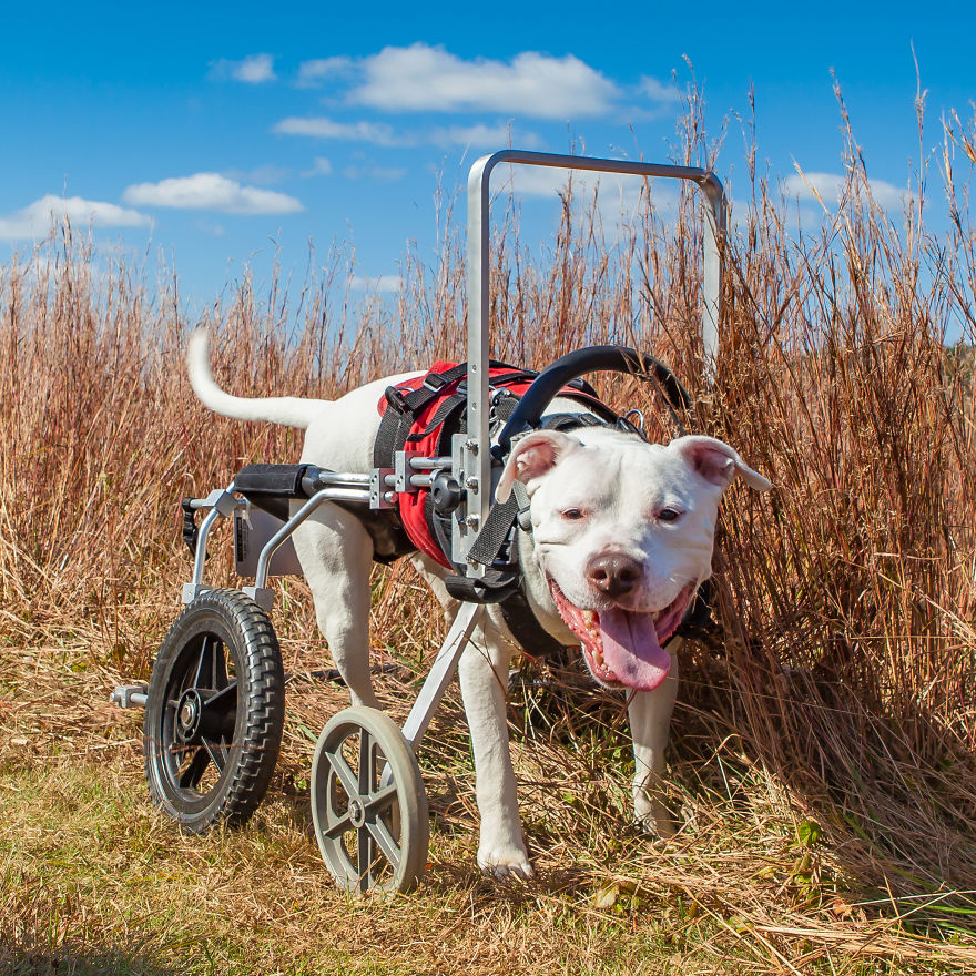 My Name Is Hotrodmel And These Are My Wheels.