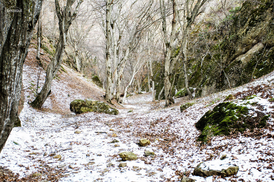 Spring Is Comming
