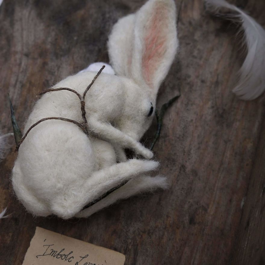 'imbolc Lepus' The Hare That Dreams Away The Quiet Hours Amongst The Silence Of Snowdrops. 'imbolc Lepus' The Hare That Dreams Away The Quiet Hours Amongst The Silence Of Snowdrops.