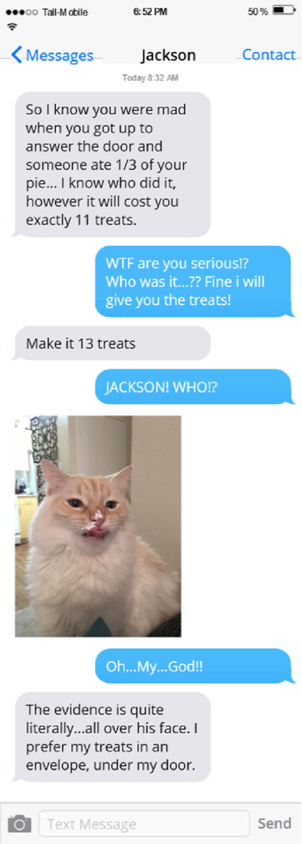 Texts From My Cats Compilation (part 2)