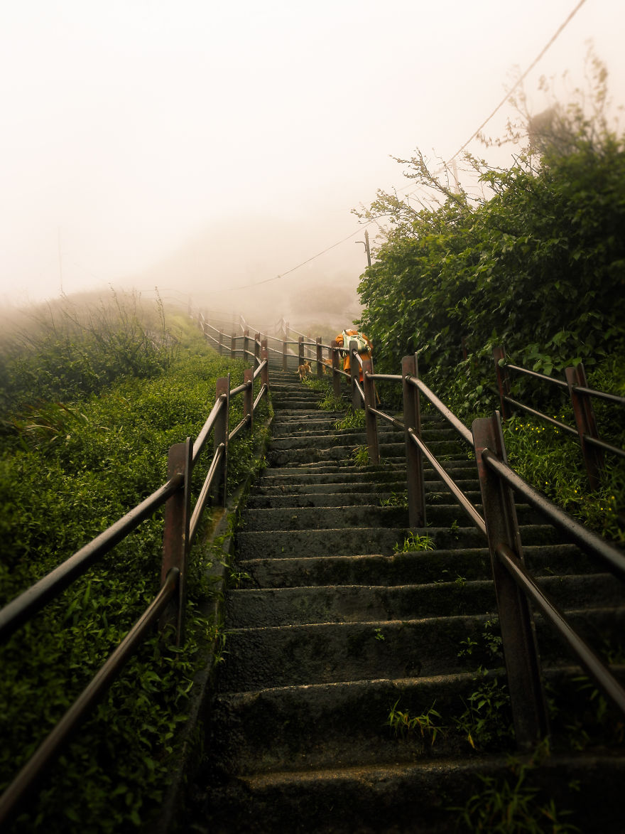 Trip- Life