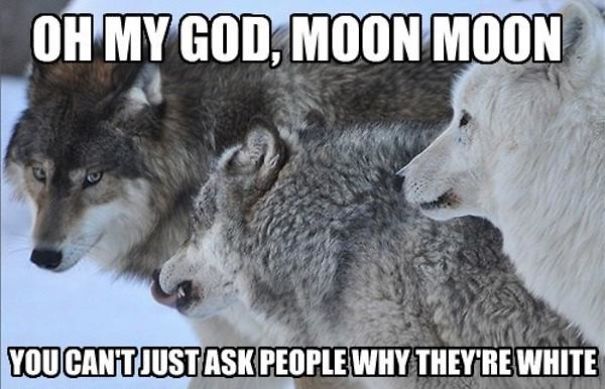 Moon Moon!