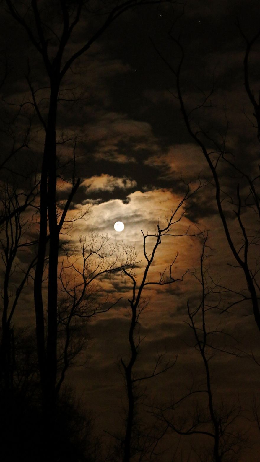 Night