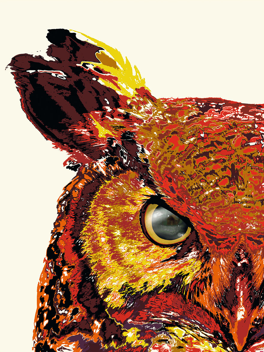 I Painted This Owl And Then Decided Reflect His Home In His Eye.