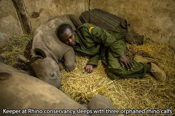 Rhino-Orphans-58aaaf015b50a.jpg