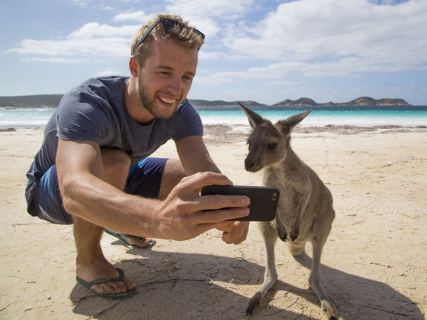 My Friend On The Beach Taking A Selfie With A Wild Kangaroo! Esperance, WA