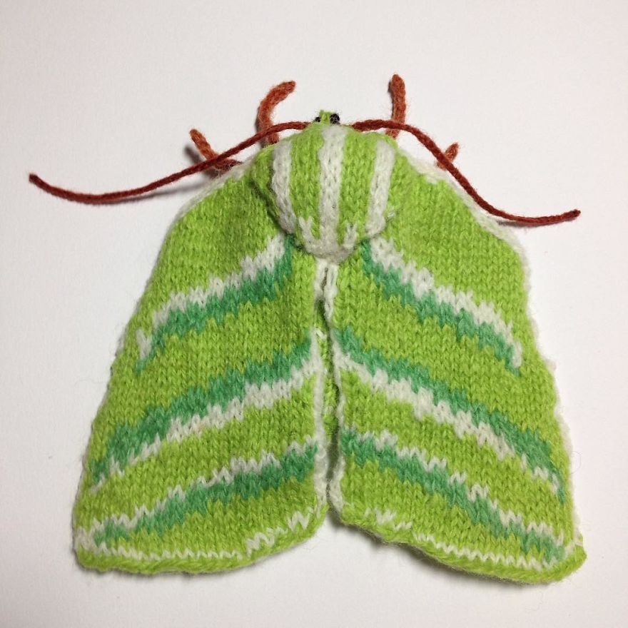 The Green Silver Lines Moth (Pseudoips Prasinana)