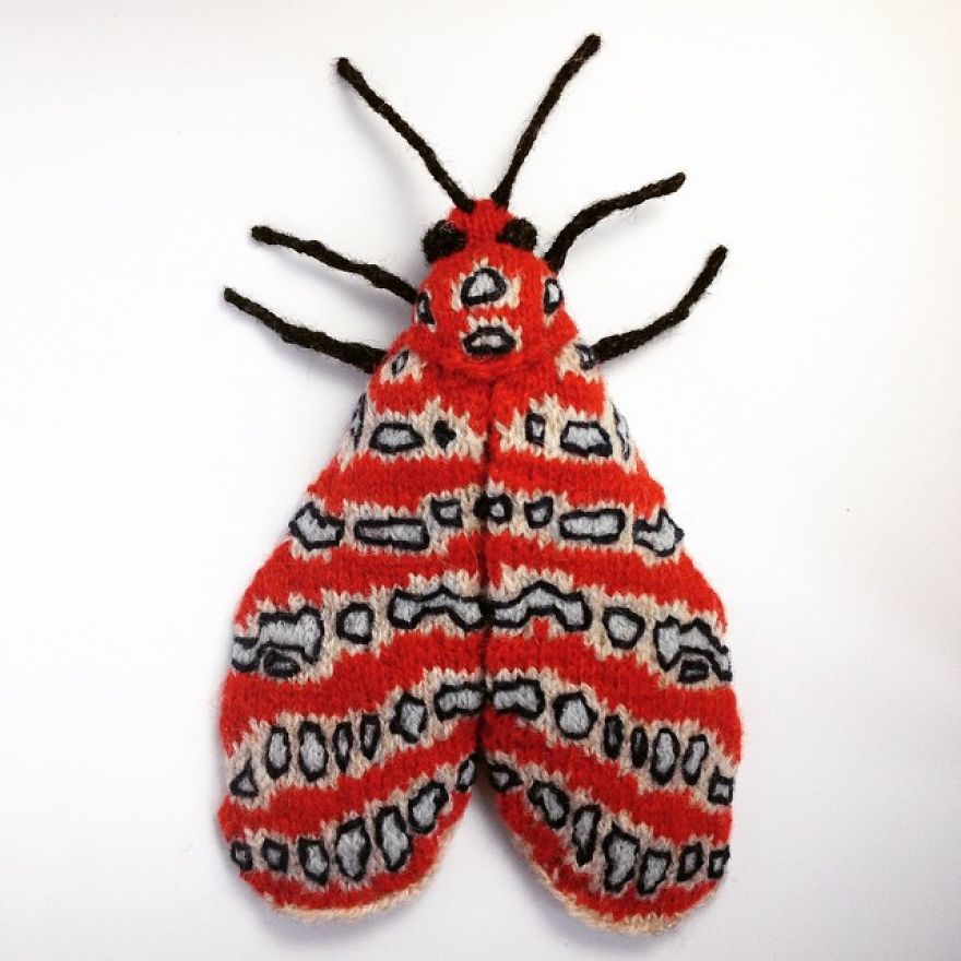 Tatargina Moth