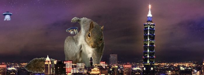Super Hero Squirrel Protecting Us From Ufo’s Attack