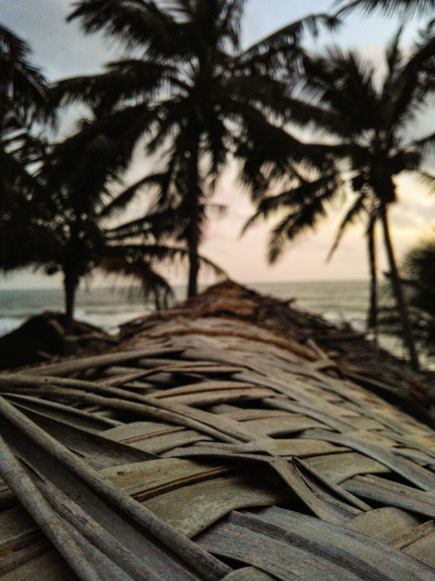 Trip- Life