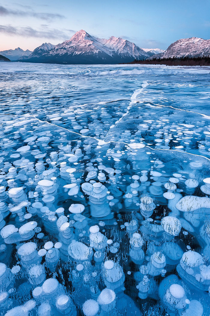 Burbujas de metano, lago Abraham