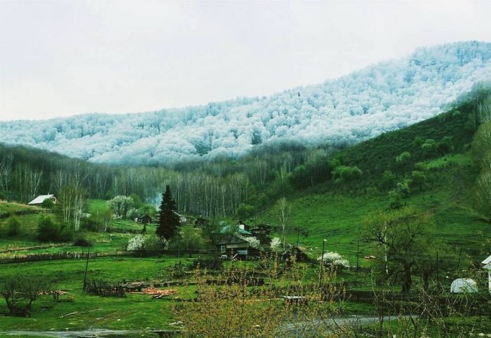 Snow In Altai