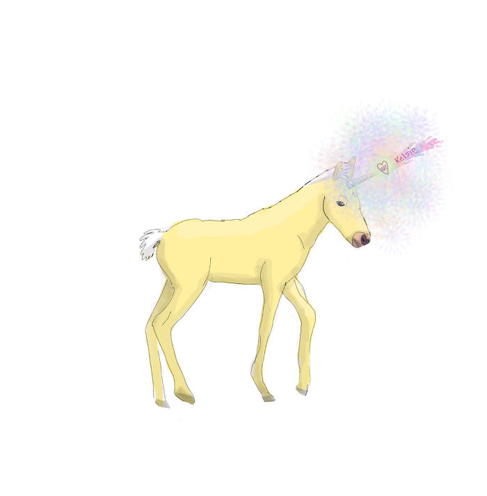 Unicorn Foal