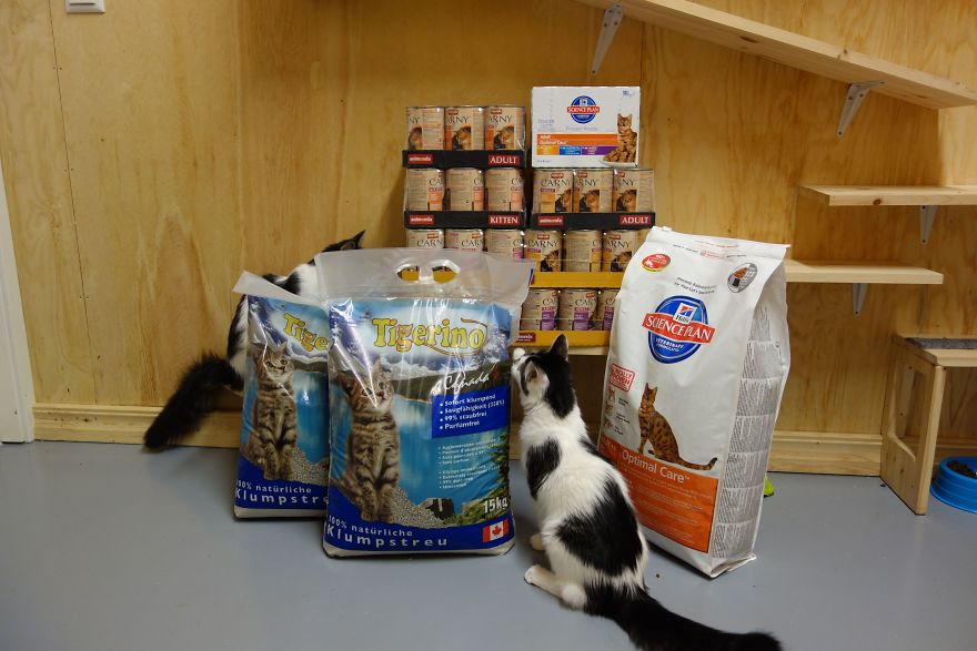 10+ Pictures That Will Show You The Variety Of Animal Shelters Around The World 10+ Pictures That Will Show You The Variety Of Animal Shelters Around The World
