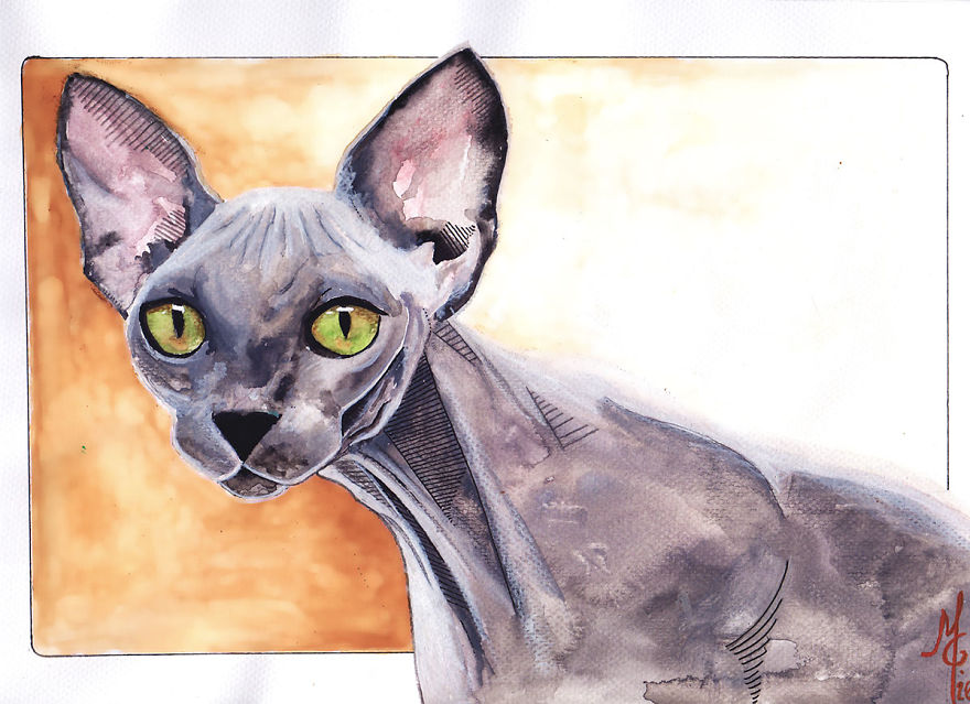 Watercolor Animals By Illustrations Of Dreams