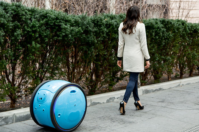This Robot Follows You Around Carrying All Your Stuff