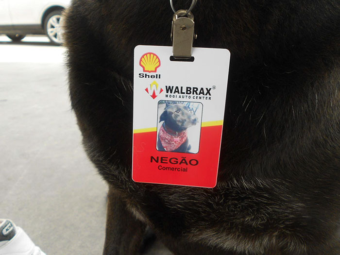 abandoned-dog-gas-station-employee-negao-brazil-2