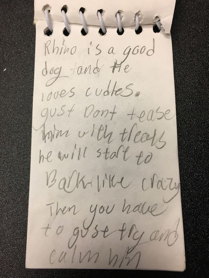 This Dog Was Returned To Shelter, But It Had This Letter