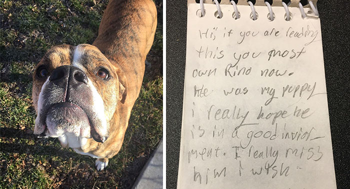 This Dog Was Returned To Shelter, But It Had This Letter