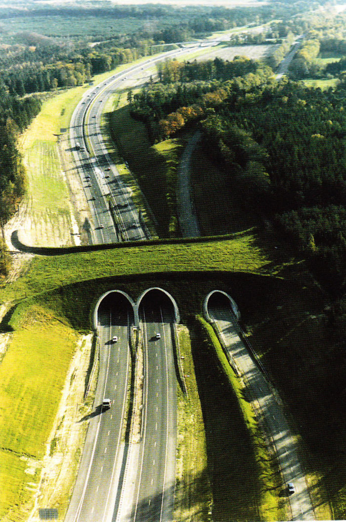 Ecoducto en Holanda