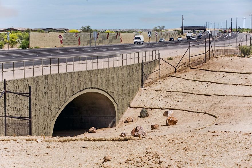 Animal Underpass Near Catalina, Arizona