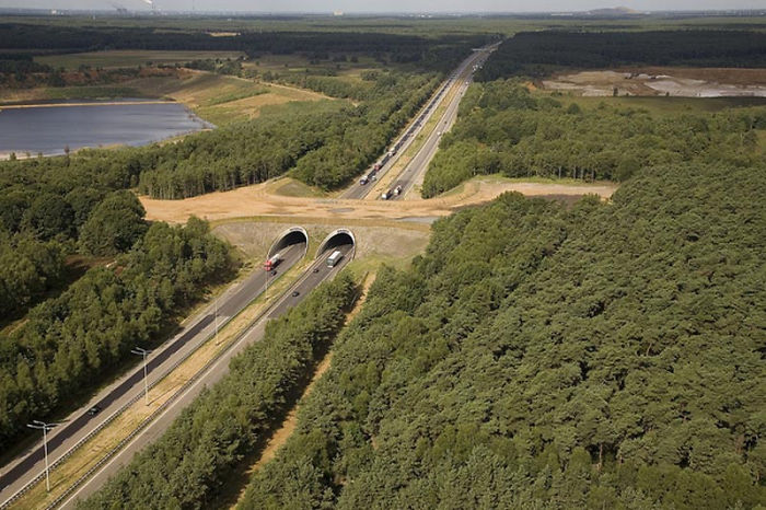 Ecoducto en Bélgica