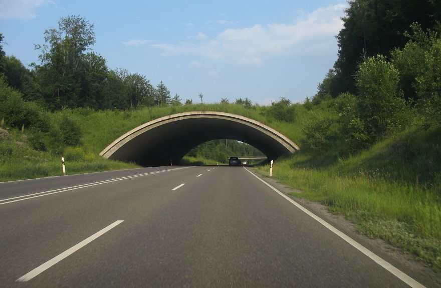 Ecoduct In Böblingen, Germany