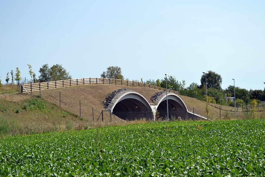 Ecoduct Near Praha