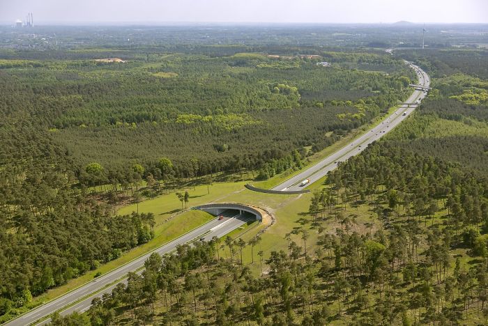 Puente verde para animales sobre una autopista alemana