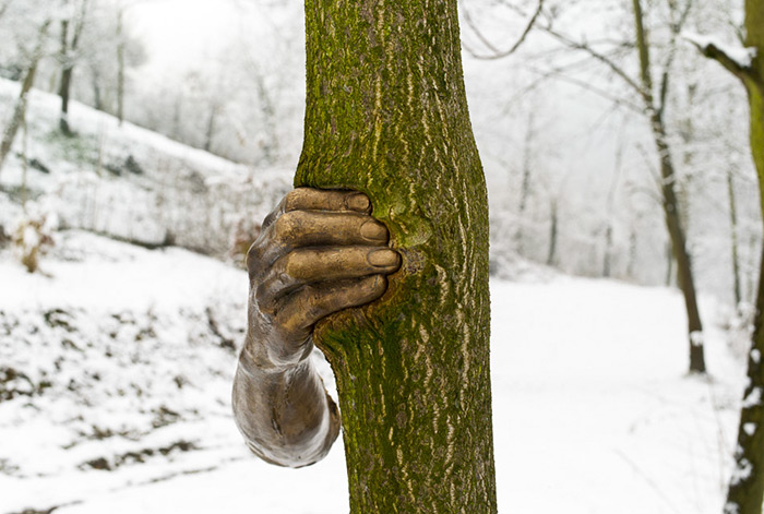 bronze-hand-sculpture-squeezing-tree-giuseppe-penone-1