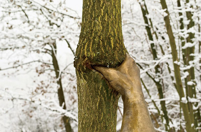 bronze-hand-sculpture-squeezing-tree-giuseppe-penone-3