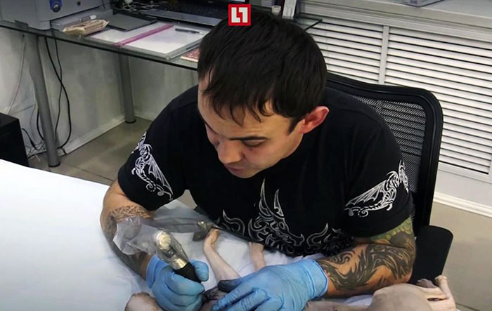 Russian Body Artist Gives His Hairless Cat Four Tattoos, And People Are Not OK With It