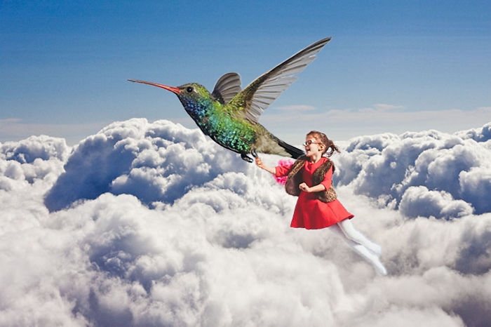 Flying With A Hummingbird
