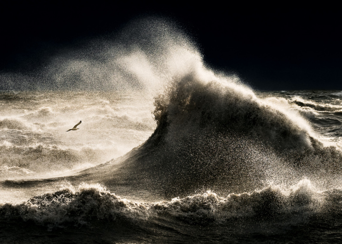 When Others Run Away For Cover, I Head To The Lake Erie Shore To Capture The Beauty Of Waves