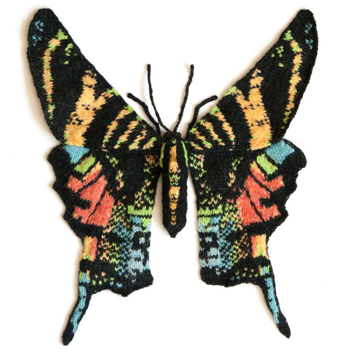 I Knit Different Moths To Reveal Their Spectacular Variety