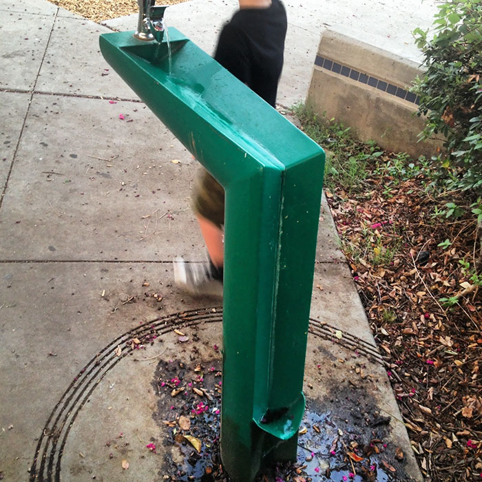 green drinking fountain with a water catch for dogs