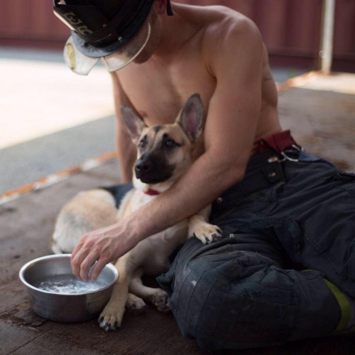 firefighter-poses-topless-calendar-adopts-dog-4