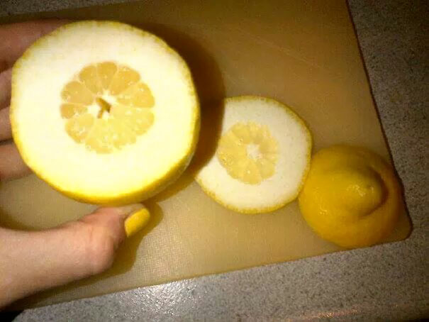 Worst Lemon Ever