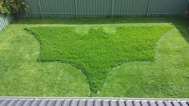 The Bosses Wife Asked Him To Mow The Lawn. This Is What She Got