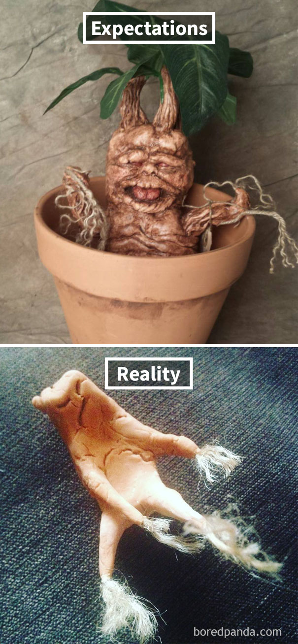 Failed Mandrake Root… Back To The Drawing Board