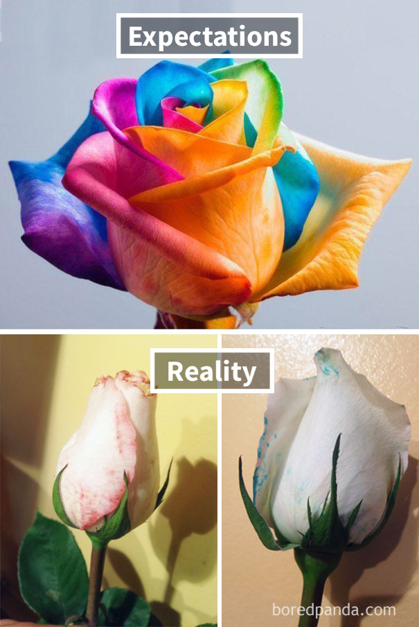 Dyed Roses Fail