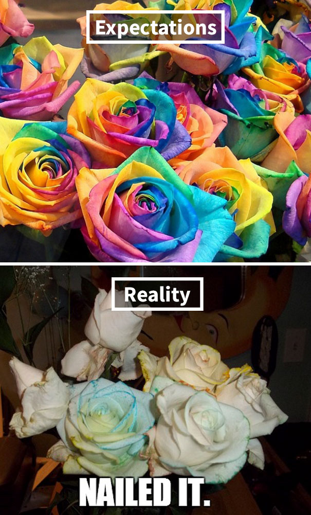 Rainbow Roses Error