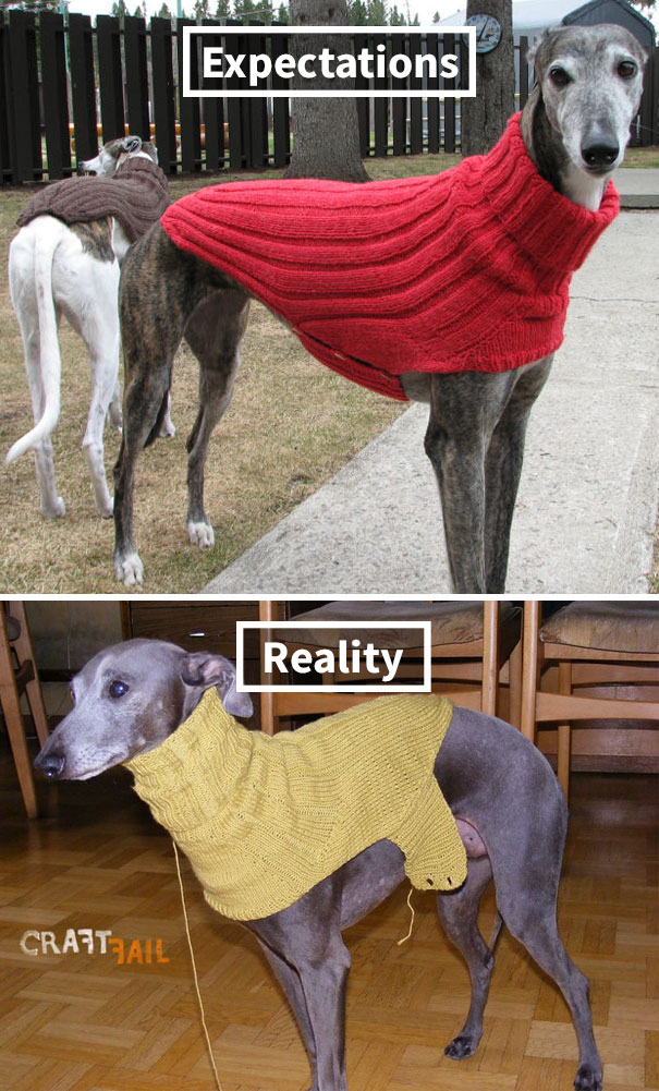 Greyhound Sweater Fail